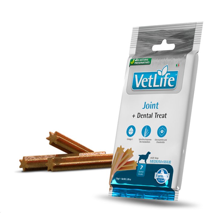 Vet Life&reg; Joint Medium & Maxi Farmina&reg; 110g