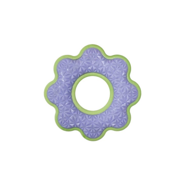 Gioco Per Cani Galleggiante Freshness Fiore Lilla Record 1 Pezzo