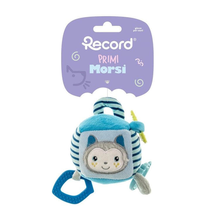 Primi Morsi Cubo Procione Azzurro Record&reg;