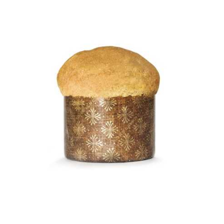 Panettoncino di Natale alla Frutta Record&reg; 110g