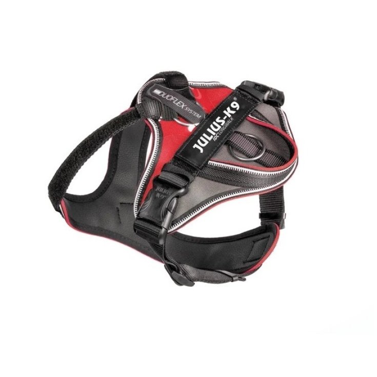 IDC&reg; Longwalk Rosso Tg.S Julius K9