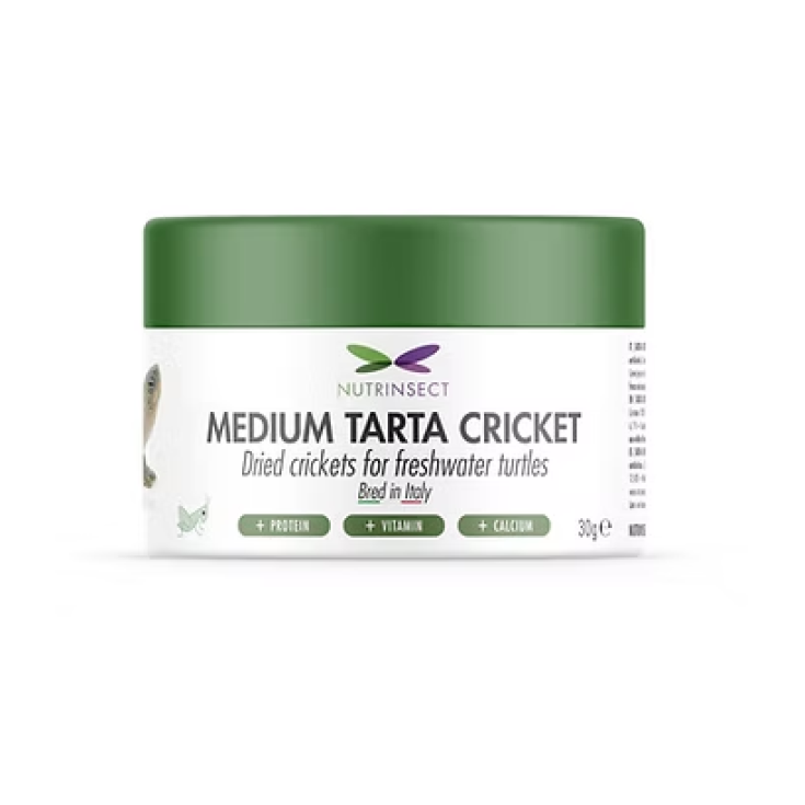 Medium Tarta Cricket Nutrinsect 35g
