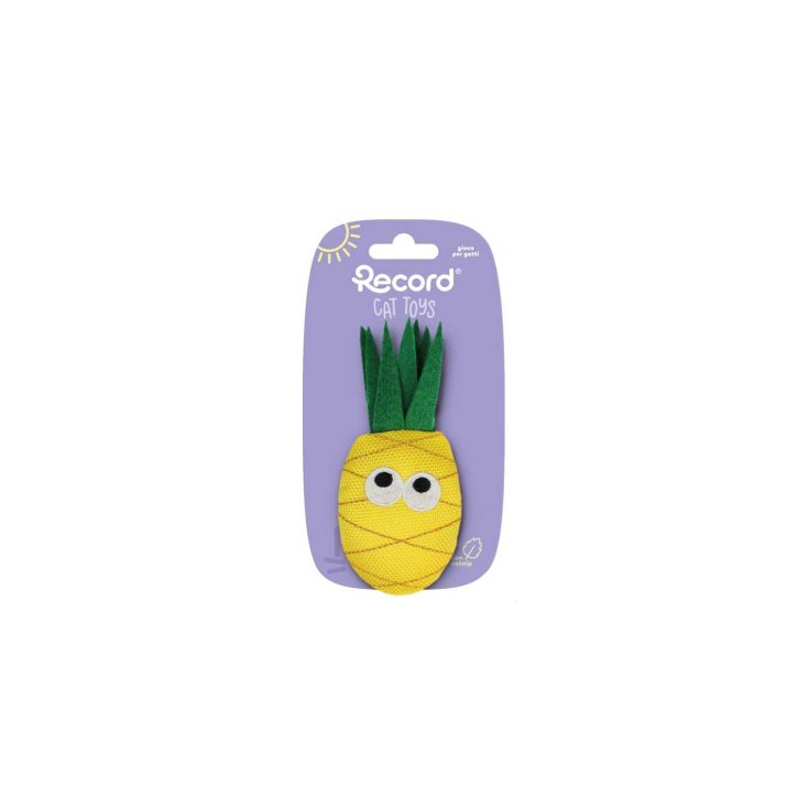 Gioco per Gatto&nbsp;Ananas Record