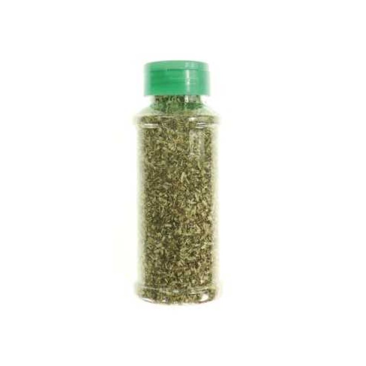 Catnip In Polvere Record 30g