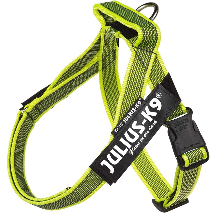Pettorina A Fascia Color & Gray Neon/Grigio Julius-K9 1 Pezzo