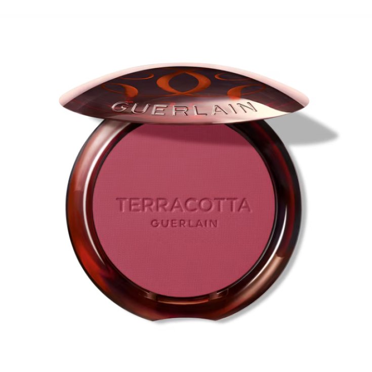 Terracotta Blush Bonne/Mine N.04 GUERLAIN