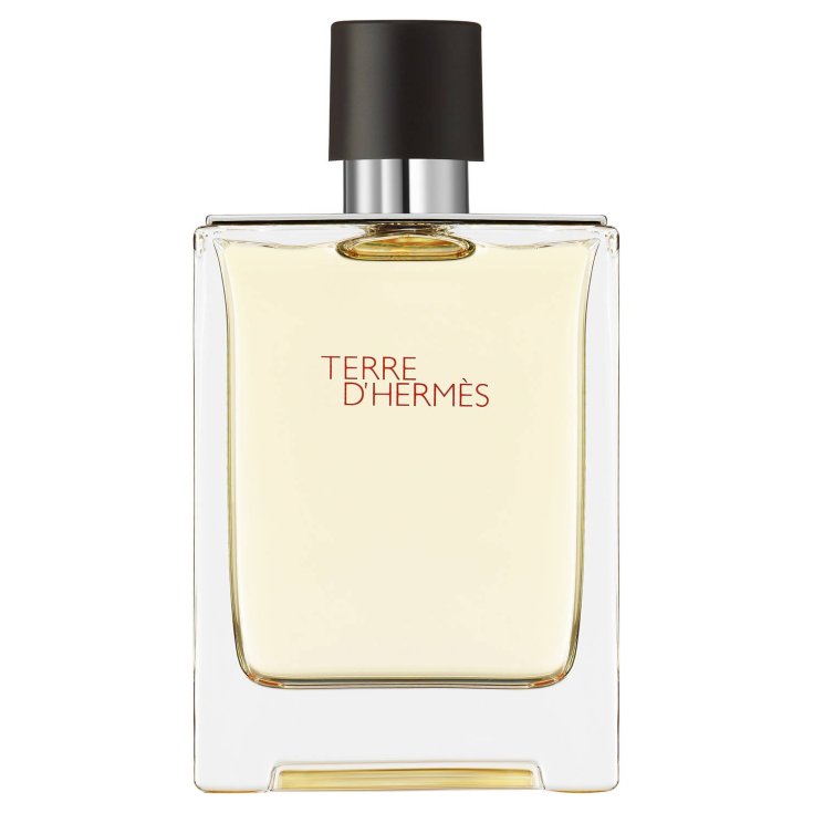Terre D&rsquo;Herm&egrave;s Eau De Toilette Herm&egrave;s 100ml Vapo
