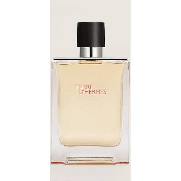 HERMES TERRE EDT 50 VAPO