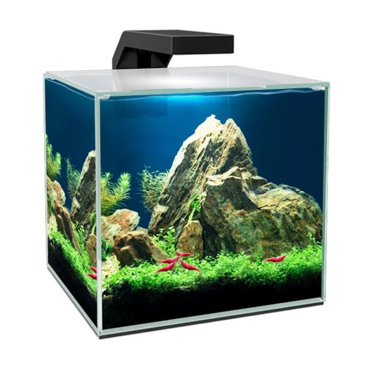 Nano Acquario Cube 10 Led Ciano 1 Pezzo