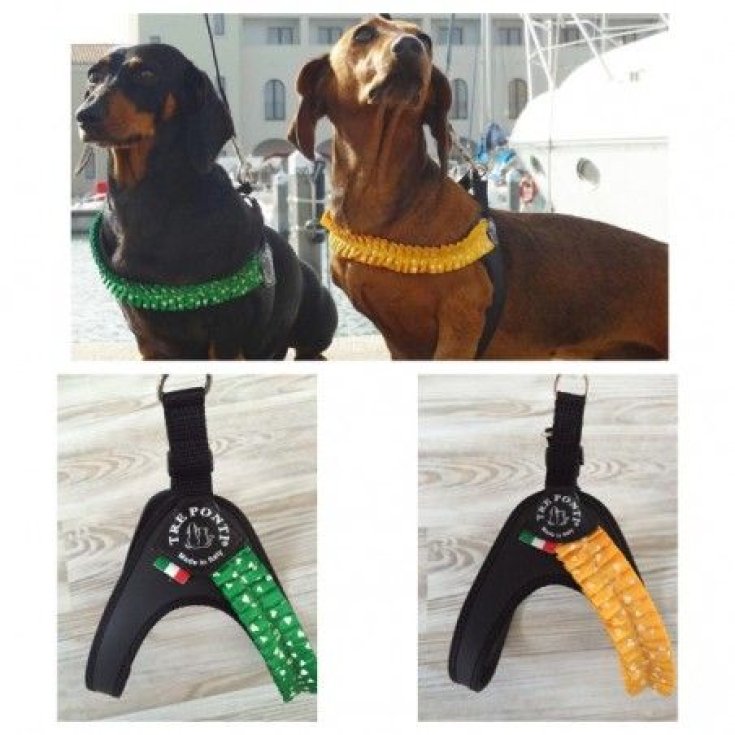 Pettorina Fashion Pliss&egrave; In Plastica Verde 2 1 Pezzo