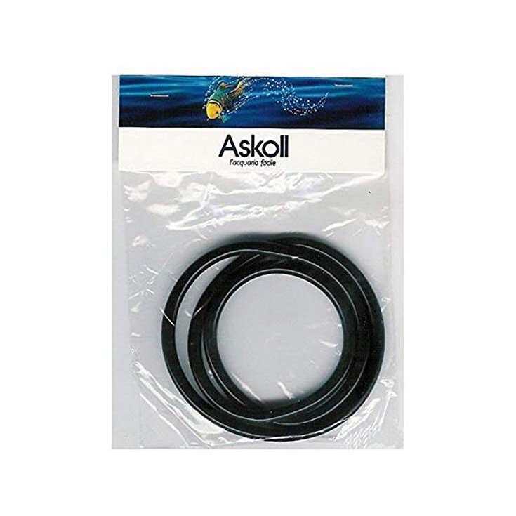 Guarnizione Pratiko 300/400 Askoll 922712
