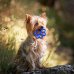 Orma Mini Gioco Per Cani Bama&reg;