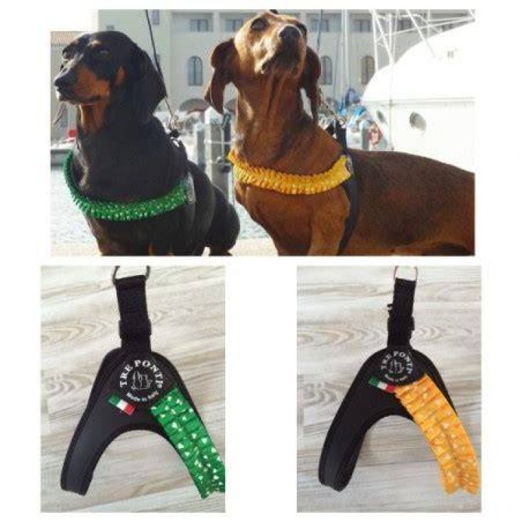 Pettorina Fashion Pliss&egrave; Plastica 1,5 Verde Tre Ponti 1 Pezzo