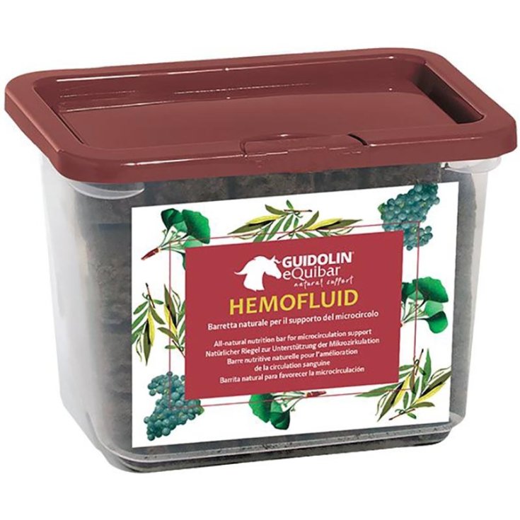 Equibar Hermofluid Guidolin 700g