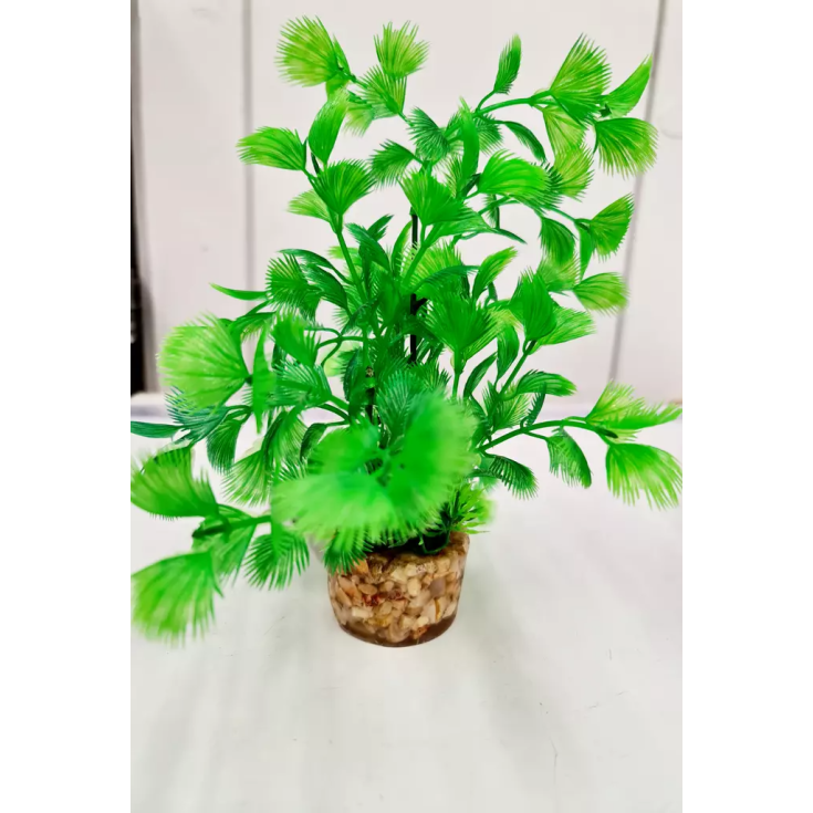 Pianta Decorativa S&nbsp;T2 ASS 1 Pezzo