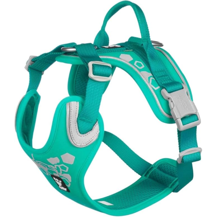 Pettorina Warrior Peacock 45-60cm 1 Pezzo
