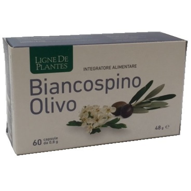 Biancospino&nbsp;Olivo 60 Capsule