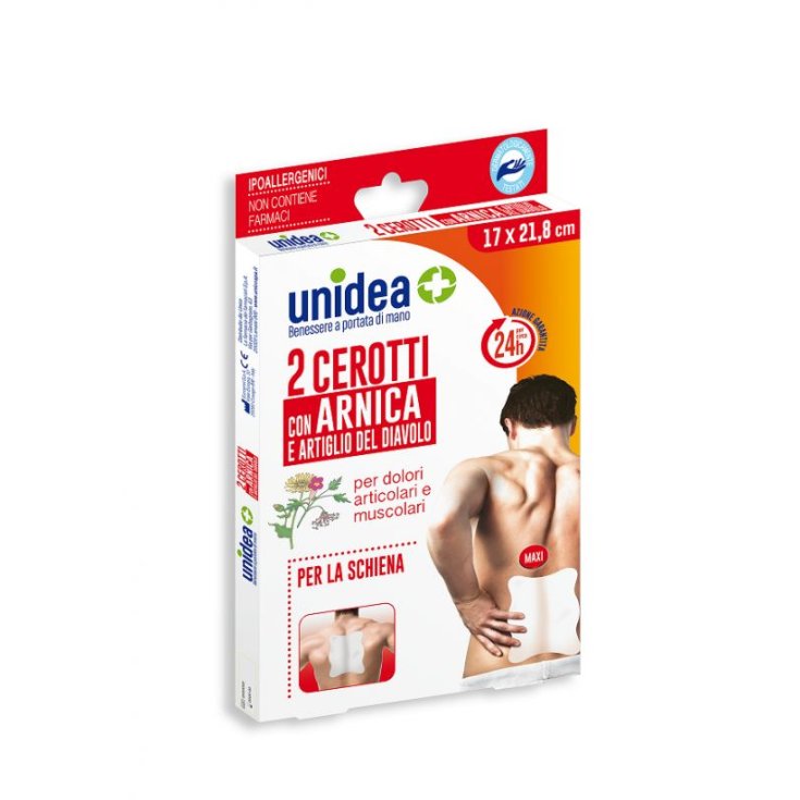 Cerotto Arnica 17x21,8cm Unidea 2 Pezzi