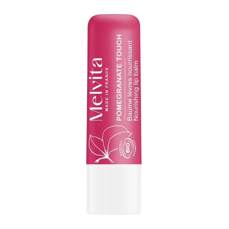 MELVITA BALSAMO LABBRA LEVIGANTE NUTRIENTE 1X4,5G