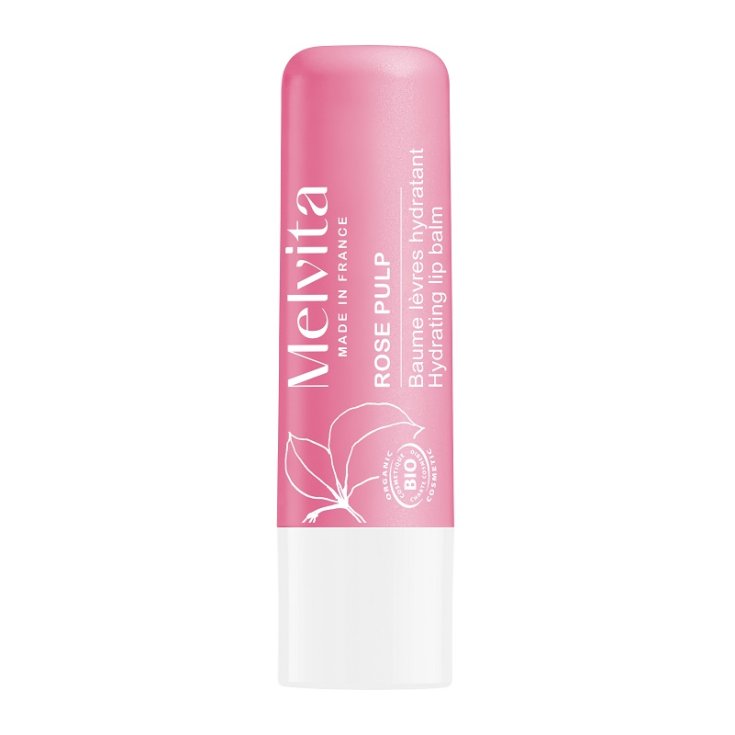 MELVITA BALSAMO LABBRA IDRATANTE 1X4,5G