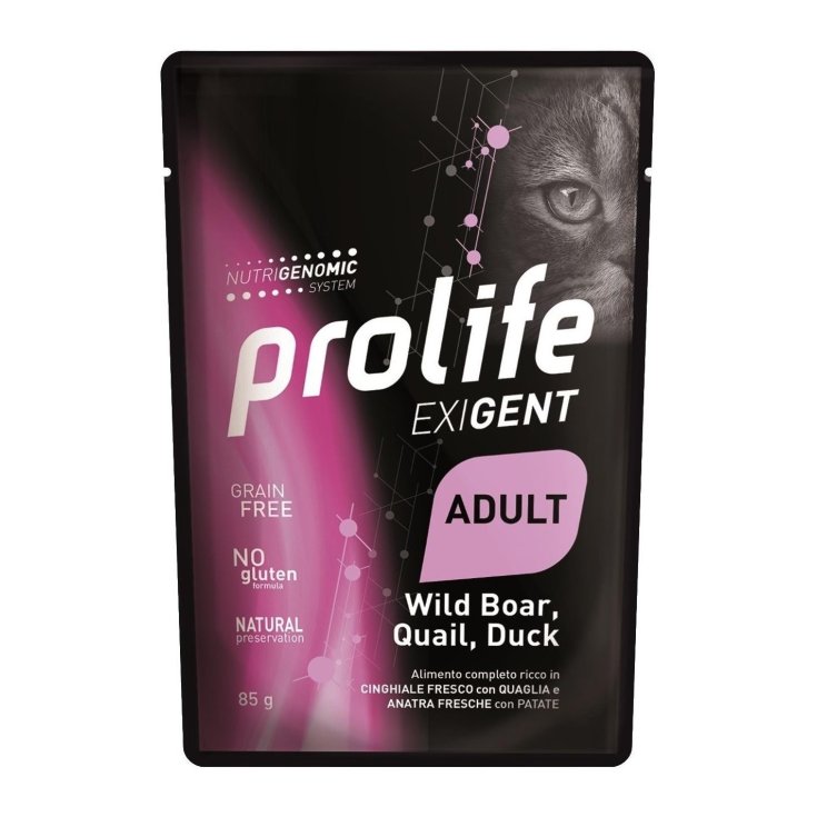 PN GATTO QUAGLIA85G ADULT