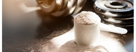 A cosa servono le proteine idrolizzate?