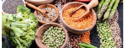Che cosa sono e a dove si trovano le proteine vegetali Che cosa sono e a dove si trovano le proteine vegetali