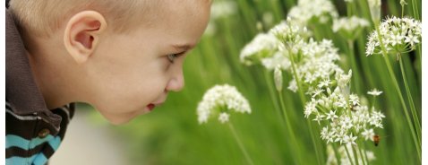 Qual è il miglior rimedio dopopuntura per i bambini? Qual è il miglior rimedio dopopuntura per i bambini?