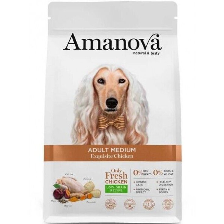 AMANOVA ADULT MEDIUM EXQUISISTE CHICKEN