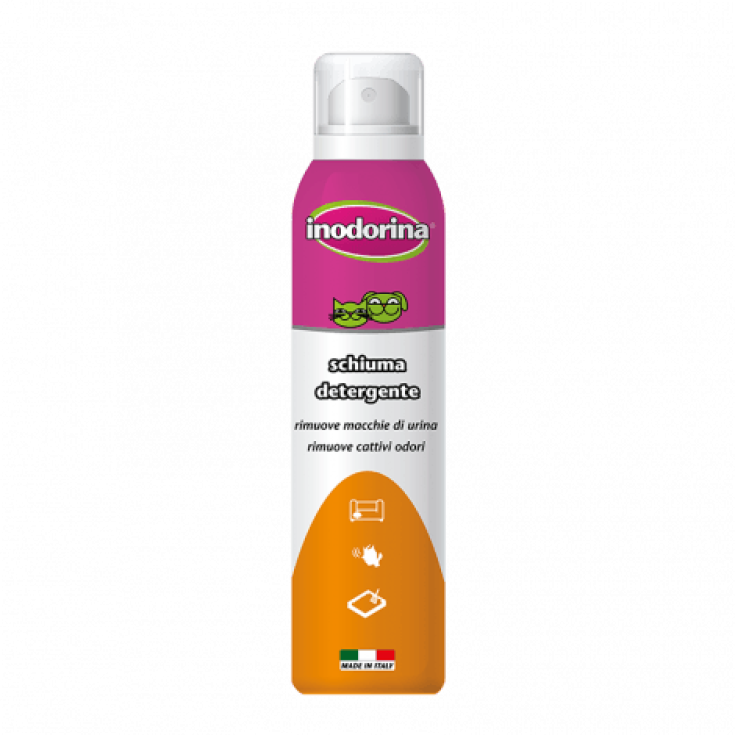 INODORINA SCHIUMA DETERGENTE 200 ML