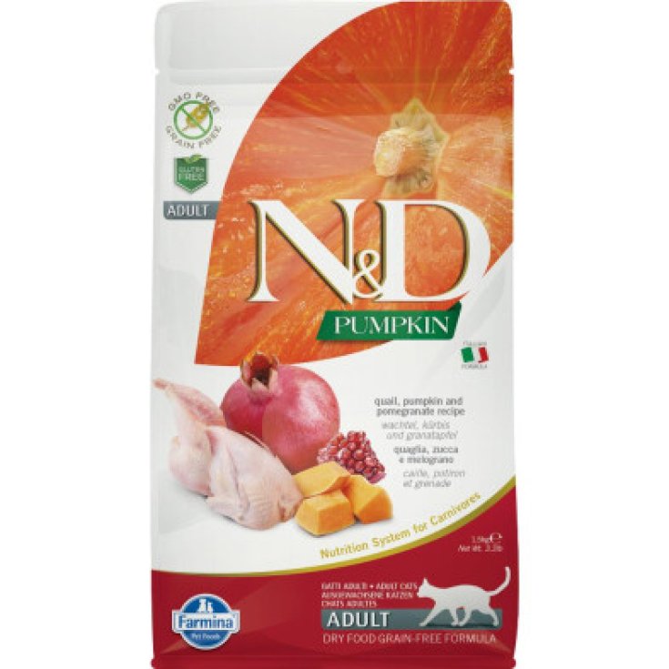 Russo Mangimi N&D Cat Quaglia e Zucca 70g