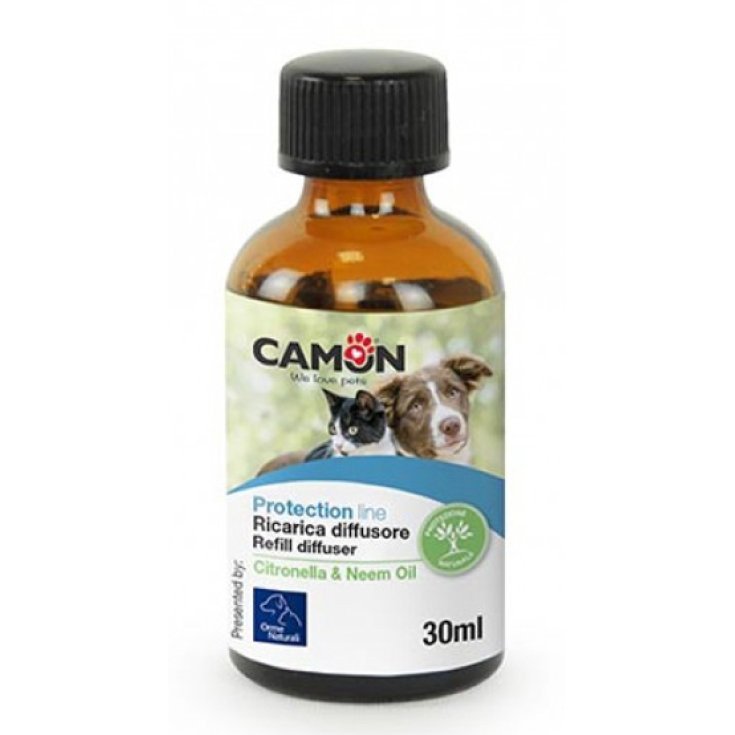 Scandia Ricarica Classic Th&egrave; Verde Profumatore Ambiente 250ml