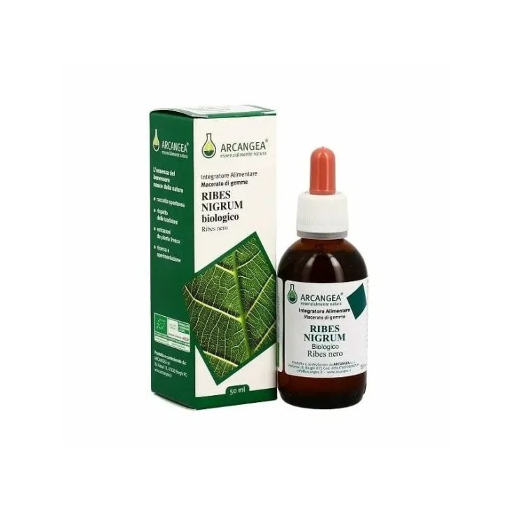Arcangea Ribes Nigrum Gemmoderivato Bio 500ml