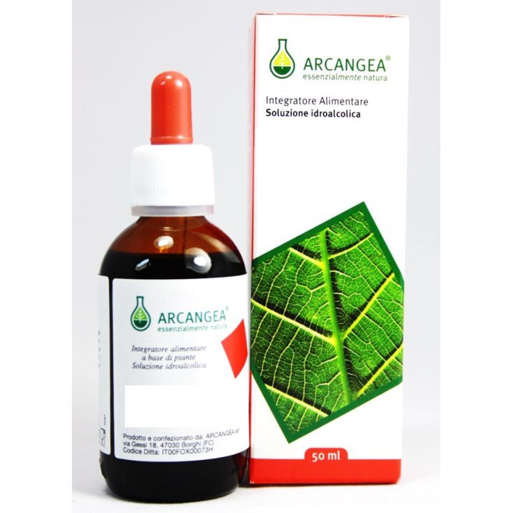 Arcangea Vite Rossa Soluzione Idroalcolica Bio 100ml