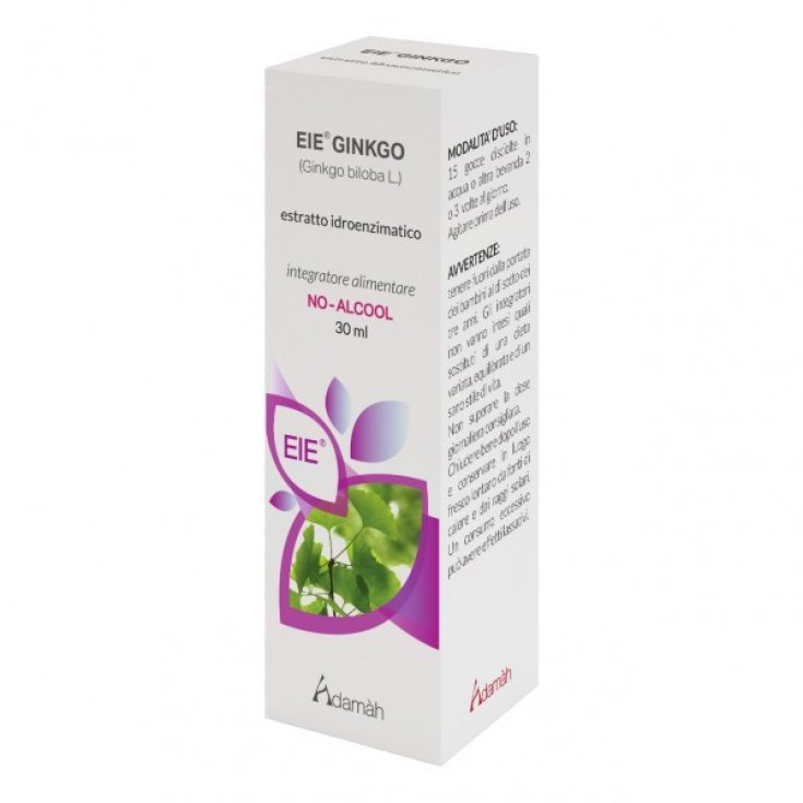 Galeno Ginkgo Estratto Secco 24% 100 g
