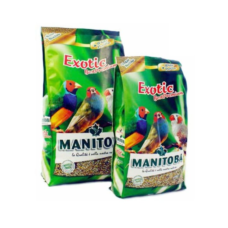 Valpet Exotic Miscela di Semi per Uccelli Esotici, 500g