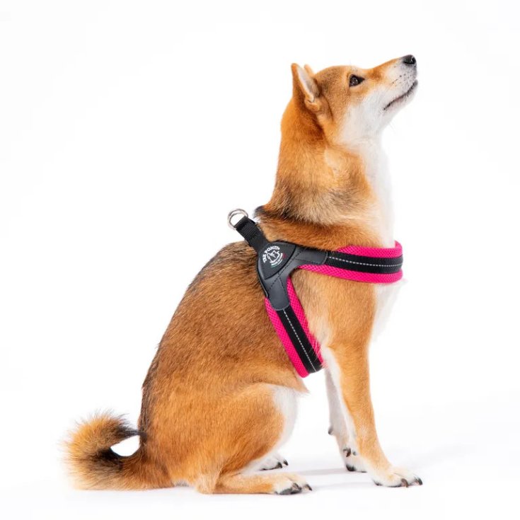 Tre Ponti Pettorina Easy Fit Silver Click Arancio Fluo Taglia 1