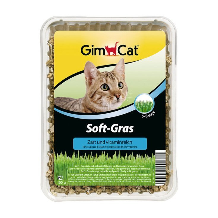 Gimcat Erba Gatto Extra Soft 100g