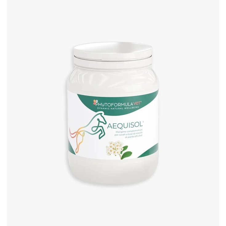 Ri.Mos Aequisol Mangime Complementare per Cavalli 500g