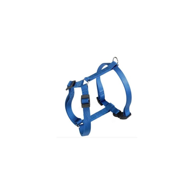 CHAMPION P MEDIUM BLU PETT.