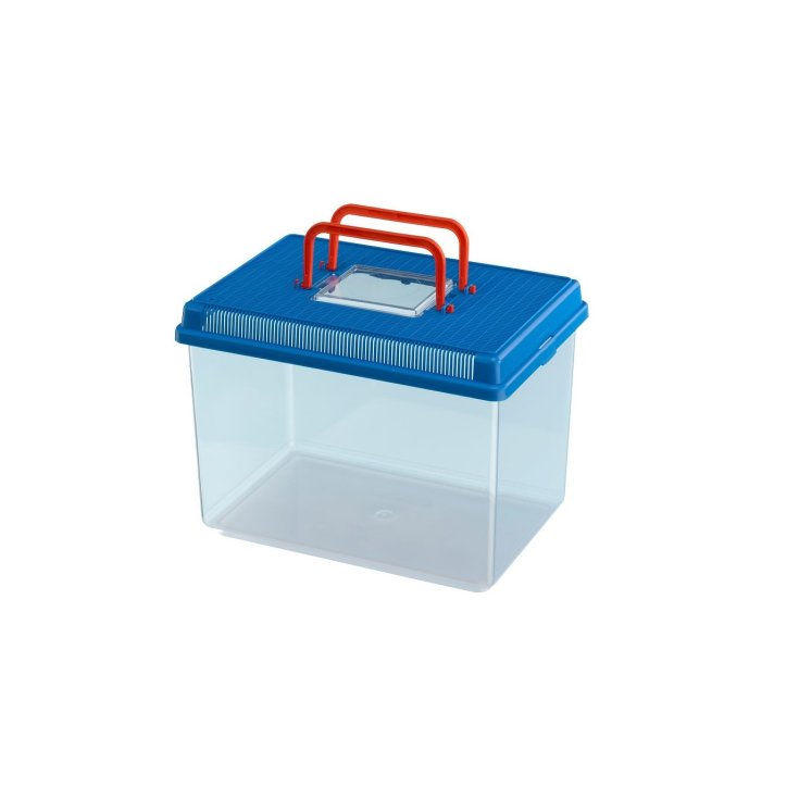 Acquario Geo Large - 30 x 20 x h 20,3 cm - 6LT