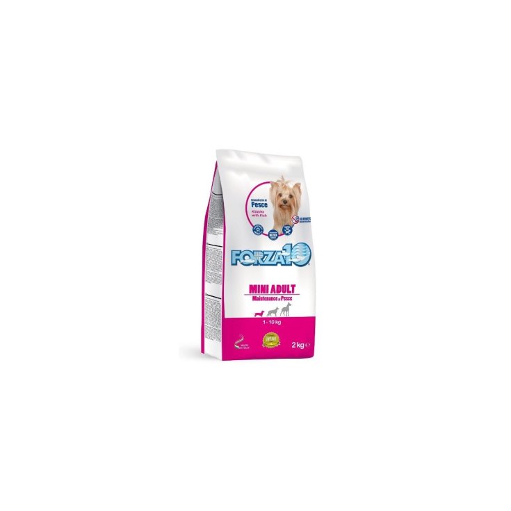 Maintenance Mini Adult con Pesce - 2KG