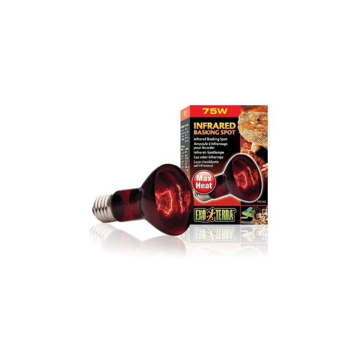 LAMP R20/75W INFRARED PT-2142