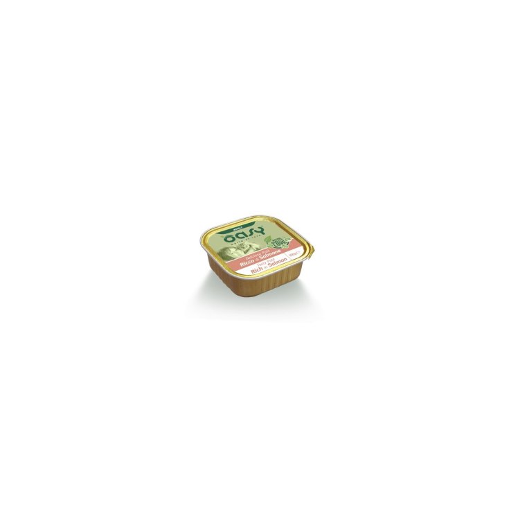 Delizioso Pat&egrave; Ricco di Salmone - 100GR