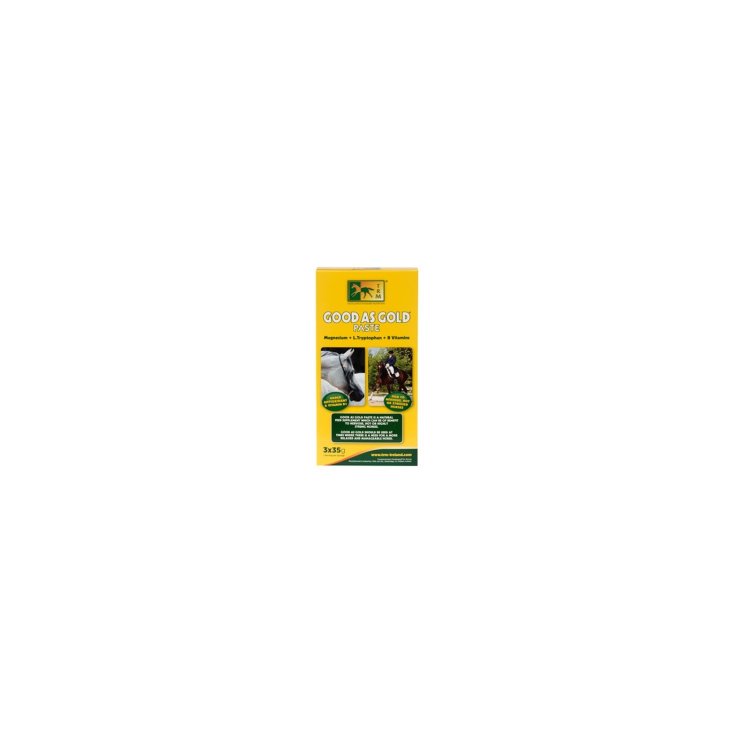 GOOD AS GOLD PASTA 3 X 35 GR