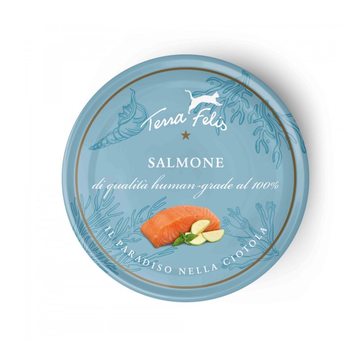 Adult Salmone - 80GR