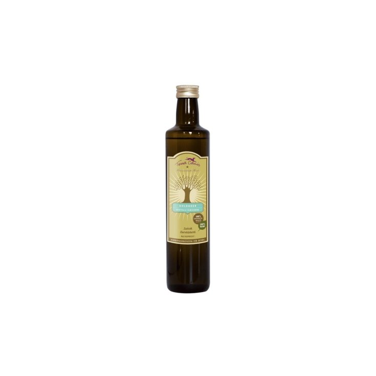 TERRA CANIS OLIO GOLD SEA 250ML
