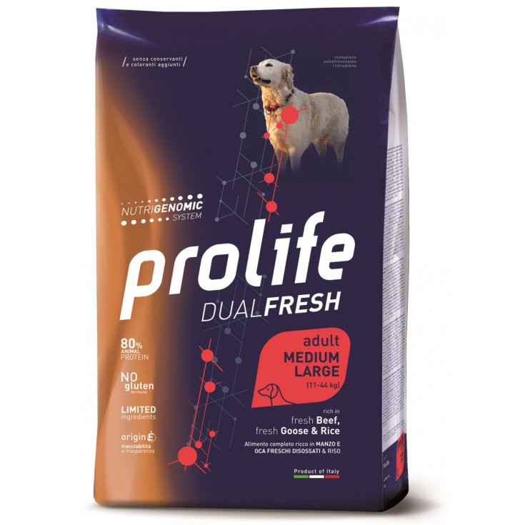 Dual Fresh Adult Medium/Large Goose & Rice - 12KG