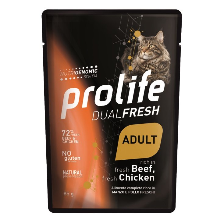 Dual Fresh Adult Beef Chicken - 85GR