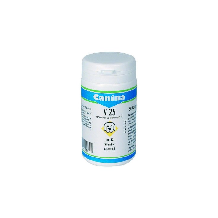 V 25 per Cani - 30X30GR